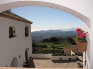Spanien Pur: Weinprobe + Verkostung lokaler Produkte + Mittagessen