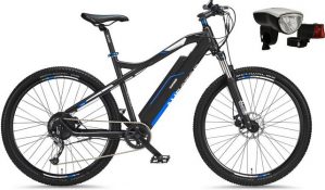 Telefunken E-Bike "Aufsteiger M920", 9 Gang Shimano Acera Schaltwerk, Kettenschaltung, Heckmotor 250 W, (mit Beleuchtungsset)