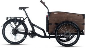 Adore E-Bike "Urban Deluxe", 7 Gang Shimano Acera Schaltwerk, Kettenschaltung, Heckmotor 250 W