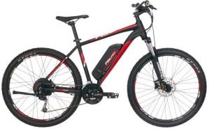 FISCHER Fahrräder E-Bike "MONTIS EM 1726 422", 10 Gang, Kettenschaltung, Heckmotor, (mit Akku-Ladegerät, mit Werkzeug)