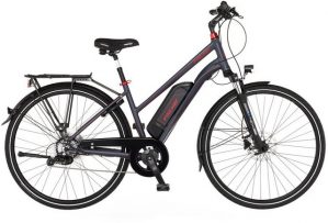 FISCHER Fahrräder E-Bike "VIATOR 1.0 Damen 422", 8 Gang, Kettenschaltung, Heckmotor, (mit Akku-Ladegerät, mit Werkzeug)