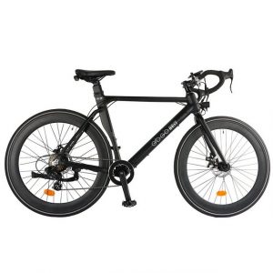 GOGOBEST E-Bike "R2 Elektrisches Rennrad 700C*32C Reifen 36V 9.6Ah 250W Motor 32Km/h"