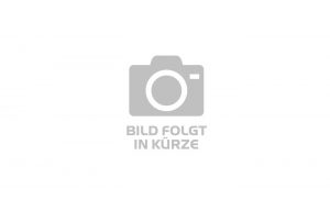 KTM XPLORER 272 - 27.5 Zoll 16K Diamant - Vapor Grey Orange Black