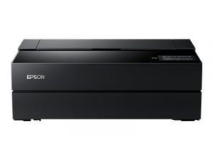 Epson S SureColor P900 17-Inch desktop Photo Printer