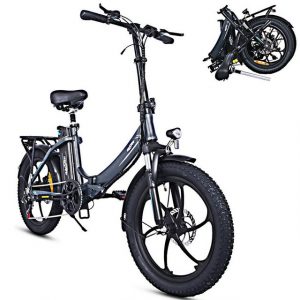 Fangqi E-Bike 20Zoll Klapprad Elektrofahrrad,E-Bike,350W/48V/15Ah,Shimano 7,Citybike