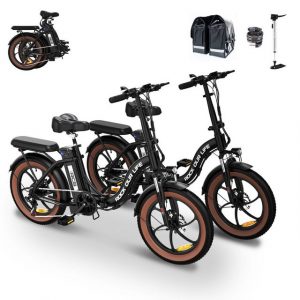 RCB E-Bike RK6S 20 ZOLL, 7 Gang Shimano, 250W Heckmotor, 20" E-bike E-fahrrad Elektrofahrrad klapprad max.90km