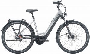 Pegasus Premio Evo 5F Belt (750 Wh), 5 Gang Nabenschaltung, Damenfahrrad, Wave, Modell 2024, 28 Zoll 50 cm silver / black