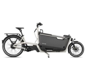 Ca Go FS200 Life Family 2024 | seidengrau | unisize | E-Lastenräder