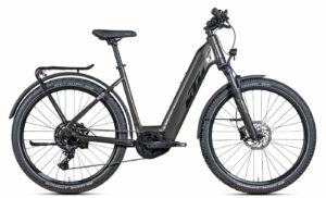 KTM MACINA TEAM LFC - 29 Zoll 750Wh 9K Wave - Steel Grey