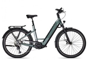Kalkhoff ENDEAVOUR 7 MOVE+ Wave 2024 | techgreen | 53 cm | E-Trekkingräder