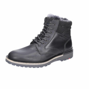 Lloyd schwarz 7,5