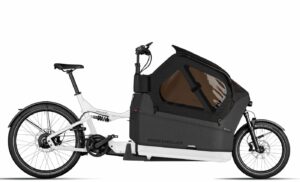 Riese und Müller Packster2 70 CT vario - 20/26 Zoll 750Wh Enviolo Lastenrad - white