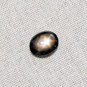 5,52 ct schwarzer Sternsaphir Edelstein Cabochon-Schliff