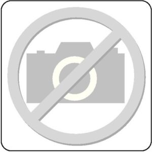 Abfallsammler H980xB460xT500mm, 120l Deckel schwarz (KS) m.2 Rollen