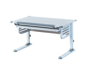 Inter Link Schülerschreibtisch Skalare