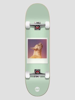 Jart Instant Film 8.25"X31.85" Skateboard uni