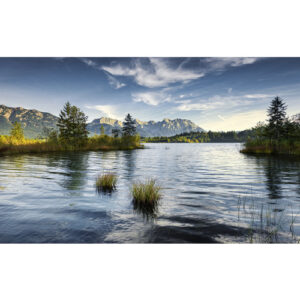 KOMAR Vliestapete "Am Ende des Tages", Breite 450 cm, seidenmatt - bunt