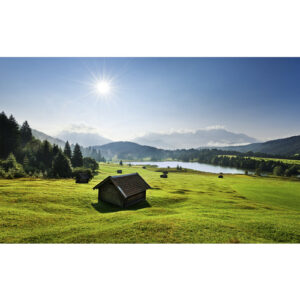 KOMAR Vliestapete "Bergwiesel", Breite 450 cm, seidenmatt - bunt