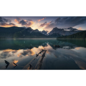 KOMAR Vliestapete "Burning Emerald", Breite 450 cm, seidenmatt - bunt