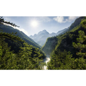 KOMAR Vliestapete "Elbenpforte", Breite 450 cm, seidenmatt - bunt