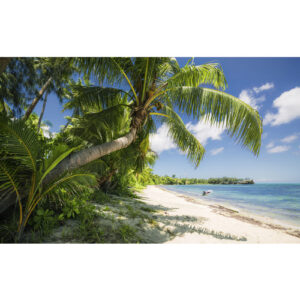 KOMAR Vliestapete "Fiji Dreams Boat ", Breite 450 cm, seidenmatt - bunt