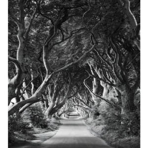 KOMAR Vliestapete "Forevenue", Breite 250 cm, seidenmatt - bunt