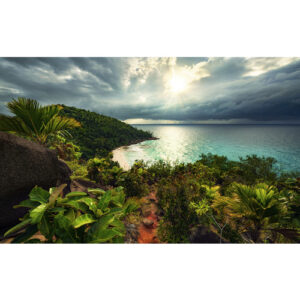 KOMAR Vliestapete "Garten", Breite 450 cm, seidenmatt - bunt