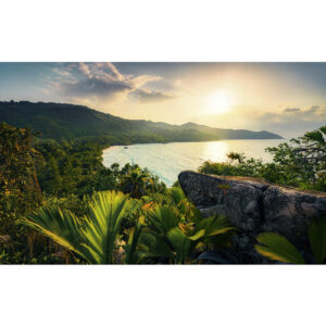 KOMAR Vliestapete "Golden Air", Breite 450 cm, seidenmatt - bunt