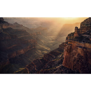 KOMAR Vliestapete "Grand Wonder ", Breite 450 cm, seidenmatt - bunt