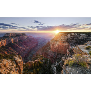 KOMAR Vliestapete "Imperial View", Breite 450 cm, seidenmatt - bunt