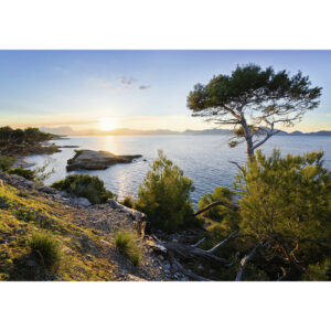 KOMAR Vliestapete "Licht des Südens", Breite 400 cm, seidenmatt - bunt