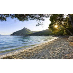 KOMAR Vliestapete "Lonely Paradise", Breite 450 cm, seidenmatt - bunt