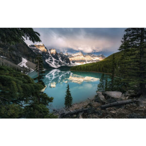 KOMAR Vliestapete "Morning", Breite 450 cm, seidenmatt - bunt