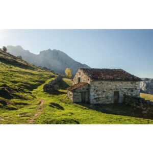 KOMAR Vliestapete "Picos de Europe Alm", Breite 450 cm, seidenmatt - bunt