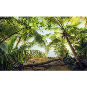 KOMAR Vliestapete "Piratenversteck", Breite 450 cm, seidenmatt - bunt