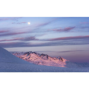 KOMAR Vliestapete "Purple Dinner", Breite 450 cm, seidenmatt - bunt