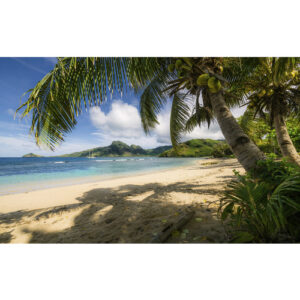 KOMAR Vliestapete "Strandoase Südsee", Breite 450 cm, seidenmatt - bunt