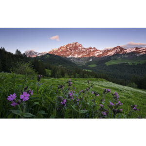 KOMAR Vliestapete "Switzerland", Breite 450 cm, seidenmatt - bunt