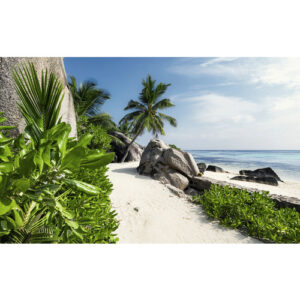 KOMAR Vliestapete "Tagträume", Breite 450 cm, seidenmatt - bunt