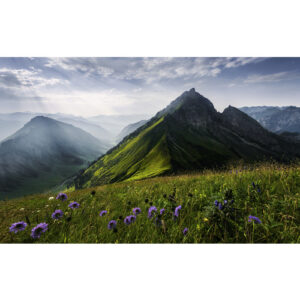 KOMAR Vliestapete "The Green Queen", Breite 450 cm, seidenmatt - bunt