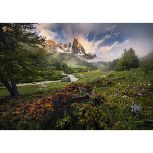 KOMAR Vliestapete "The Last Paradise", Breite 400 cm, seidenmatt - bunt