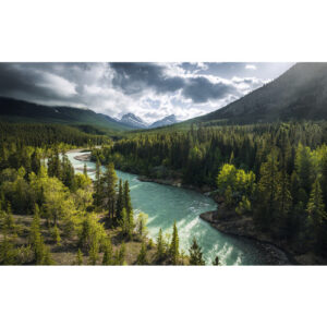 KOMAR Vliestapete "Wild Canada", Breite 450 cm, seidenmatt - bunt