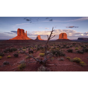 KOMAR Vliestapete "Wild West Heroes", Breite 450 cm, seidenmatt - bunt