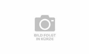 KTM GRAVELATOR 25 - 28 Zoll 11K Diamant - mineral green matt