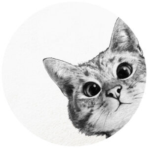 K&L Wall Art Vliestapete "Runde Vliestapete", Graves Kleine Katze Kätzchen, mehrfarbig, matt - bunt