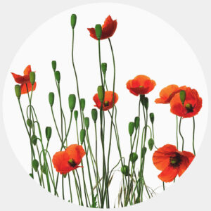 K&L Wall Art Vliestapete "Runde Vliestapete", Kadam Rote MohnBlumen Mohn, mehrfarbig, matt - bunt