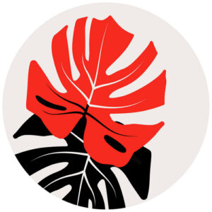 K&L Wall Art Vliestapete "Runde Vliestapete", Kubistika Monstera Dschungel, mehrfarbig, matt - bunt