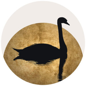 K&L Wall Art Vliestapete "Runde Vliestapete", Kubistika Schwan gold Vollmond, mehrfarbig, matt - bunt