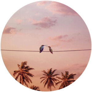 K&L Wall Art Vliestapete "Runde Vliestapete", Loose Rosa Himmel Kolibri Liebe, mehrfarbig, matt - bunt