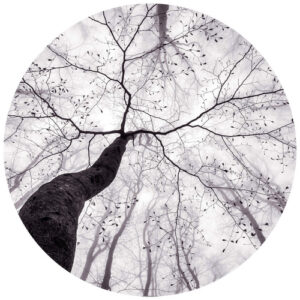 K&L Wall Art Vliestapete "Runde Vliestapete", Pavlasek Märchen Baumkronen, mehrfarbig, matt - bunt